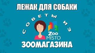 Лежак для собаки | Как правильно выбрать лежанку для собак | Виды лежаков | Советы из зоомагазина