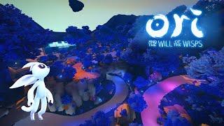 Trackmania, but it's Ori