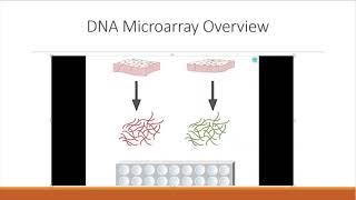 Microarrays: overview