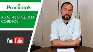 Юлия Миняева Во саду ли в огороде, Урожайный огород - можно ли верить советам популярных блогеров?