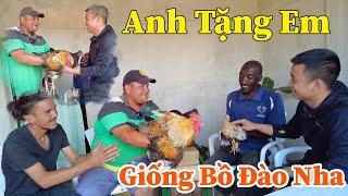 Công Giáp || Mời Đến Tận Nhà, Tặng Giống Gà Bồ Đào Nha ?? Em Trai Bác Chủ Đất Tiếp Đón Nồng Nhiệt !