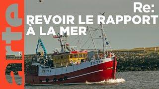 Manche, les nouveaux artisans de la pêche | ARTE Regards