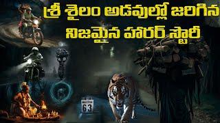 నల్లమల్ల అడవిలో భయంకర ఆత్మ | Real Horror Story at Srisailam Forest | Ghost Stories in Telugu