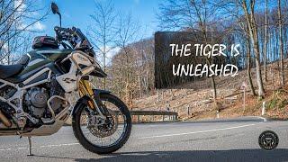 Triumph Tiger Rally Pro is finally unleashed