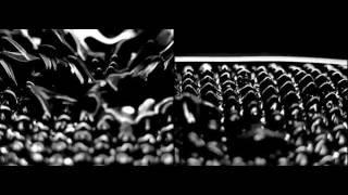 Ferrofluid experiment, AK