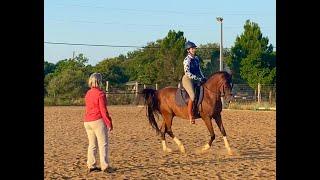 Dressage - Spiraling In to Increase COLLECTION - Clinic Clip riding DJ the Arabian.