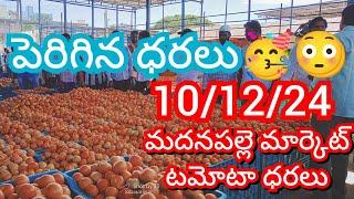 10-12-24 Madanapalle Tomato Market price Today || Today Tomato Market Rate in Madanapalle #today