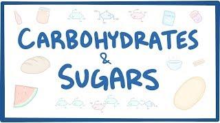 Carbohydrates & sugars - biochemistry