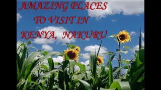 Amazing Places To Visit In Kenya- Nakuru