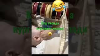 КУШ УЯСИДА КУРГАНИНИ КИЛАДИ