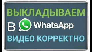 Видео в Статусе Ватсап WhatsApp Video status shering