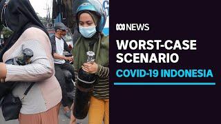 Indonesia 'racing against time' with oxygen shortage as COVID surges | ABC News