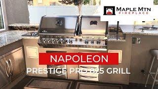 Built-In BBQ Grill | Napoleon Prestige Pro 825