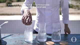 sal viva cold by angel leon sosa 2019