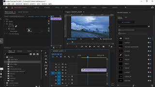 How to change opacity in Adobe Premiere pro