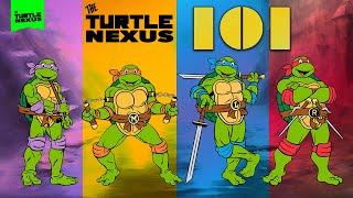 Turtle Nexus 101: Learn the basics