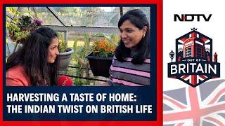 Out Of Britain | Blending Roots And Reality: Indians Adapt To UK Produce