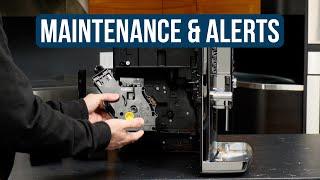 Drip Tray, Dreg Drawer & Brew Unit Maintenance on the Gaggia Accademia Espresso Machine