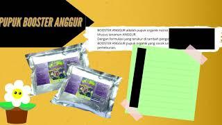 AGEN 0812*2882*4834 PUPUK ANGGUR AGAR CEPAT BERBUAH, PUPUK BUAH BOOSTER ANGGUR DI JAWA BARAT