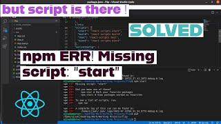 npm ERR! Missing script : "start" | but start script is present | SOLVED in React