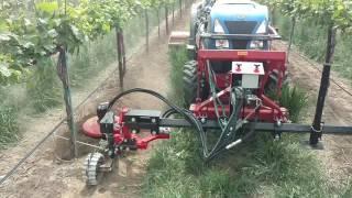 ID David Vineyard Weeder with rear mower