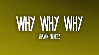 Shawn Mendes - Why Why Why