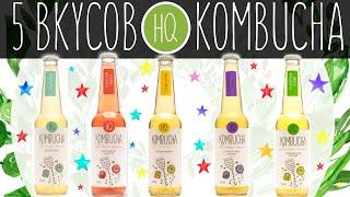 Пять вкусов HQ Kombucha | Чайный Гриб | Вкусы комбучи