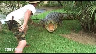 The CROCODILE MAN Australia COMPILATION! # 6