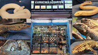 India's 1st Reptile Shop Karnataka Aquarium