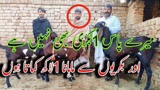 How This Young Goat Farmer Earn 1 Lakh In A Month In Lahore_ Goat Farming Business In Pakistan