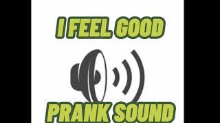 I FEEL GOOD PRANK SOUNDSO GOOD!