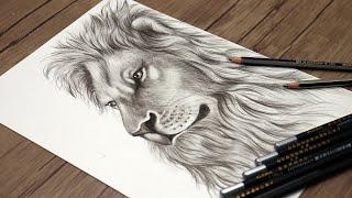 How to Draw a Realistic Lion Head Step by Step | Animals Drawing Tutorial