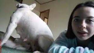 Watch: Denise frazier dog video | Denise Frazier Dog Video | tiktoker Denise frazier dog