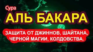 СУРА БАКАРА, ЗАЩИТА ОТ ДЖИННОВ, ШАЙТАНА, ЧЕРНОЙ МАГИИ, КОЛДОВСТВА