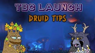 TBC Classic Launch: Druid Tips