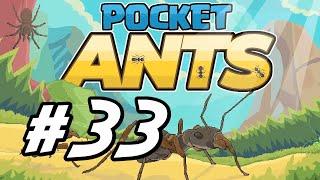 Pocket Ants - 33 - "Battle Issues"