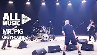 GREYHOUNDZ - Mr. PIG (MYX Live! Performance)