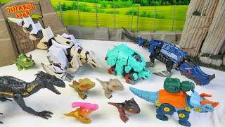 Let's Review dinosaurs Robot Mozasaur, Triceratop, stegosaur, parasaurolopus, Velociraptor, T-Rex211