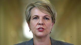 Tanya Plibersek taking ‘giant sledgehammer’ to important projects for Australia