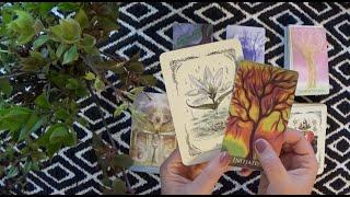 Wisdom is What Works, Renew Your Connection to Your Hearth | Green Witch Oracle Card Reading