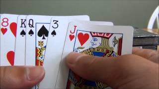 Bicycle Standard Playing Cards Review