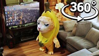 360º BANANA CAT Breaks Into Your House