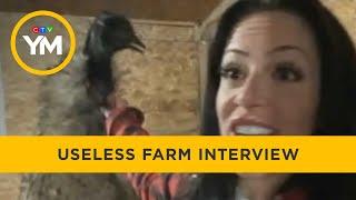 We speak to the woman behind the Useless Farm social media sensation | Your Morning