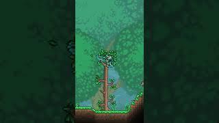 Топ 3 редких питомца в ТЕРРАРИИ 1.4.4 #shorts #terraria #террария