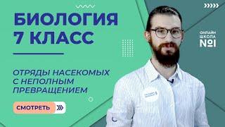 Отряды насекомых с неполным превращением. Урок 15. Биология 7 класс