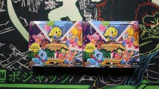 25th Anniversary Set | Neopets Battledome TCG | #neopets