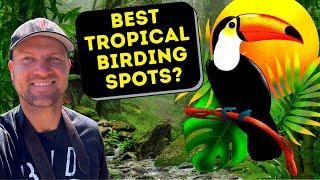 The Best Places For Birding In The Tropics?