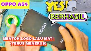 Berhasil Normal Kembali, Oppo A54 Logo Lalu Mati (Berulang-ulang)