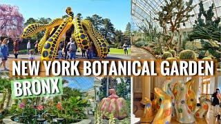 ⁴ᴷ⁶⁰ New York Botanical Garden Tour in Spring 2021| Explore KUSAMA: Cosmic Nature, Cherry Blossom 