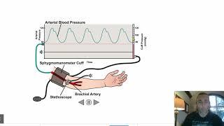 How Does a Blood Pressure Cuff Work?